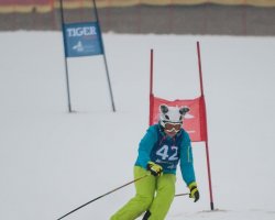 SKI CUP 2018